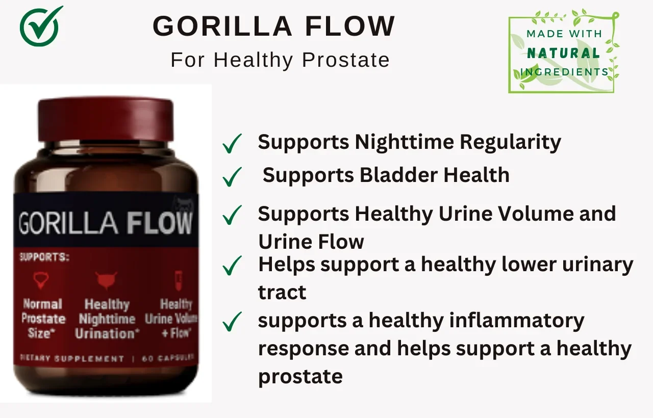Healthy Prostate